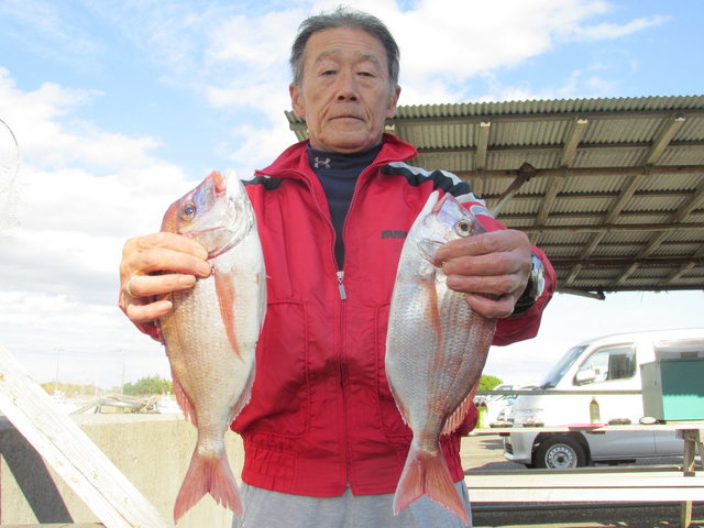 ハナダイ(チダイ)