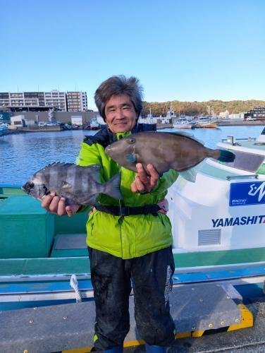 イシダイ・ウマズラ(ウマヅラハギ)