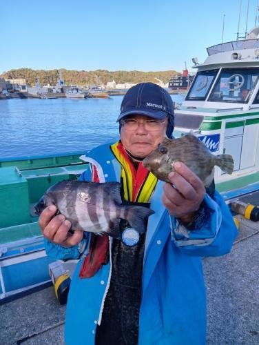 イシダイ・カワハギ