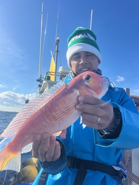 アマダイ(アカアマダイ)