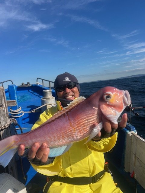 アマダイ(アカアマダイ)