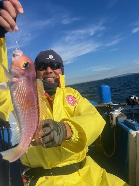 アマダイ(アカアマダイ)