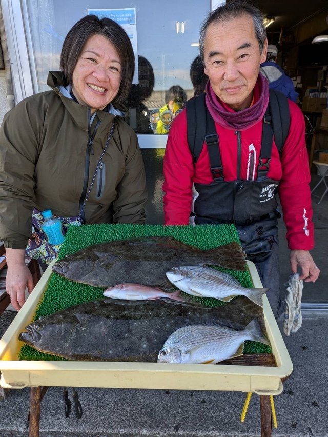 ヘダイ・ヒラメ