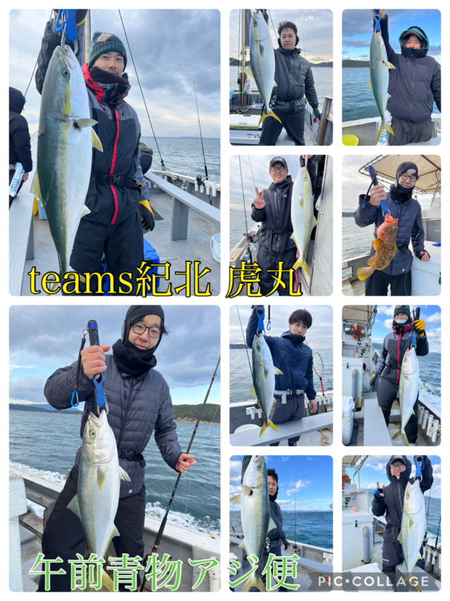 ブリ・メジロ(ブリ)