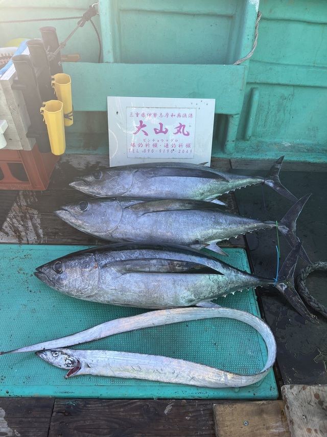 ビンチョウマグロ(ビンナガ)