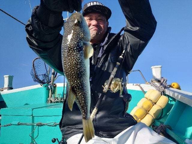 ショウサイフグ