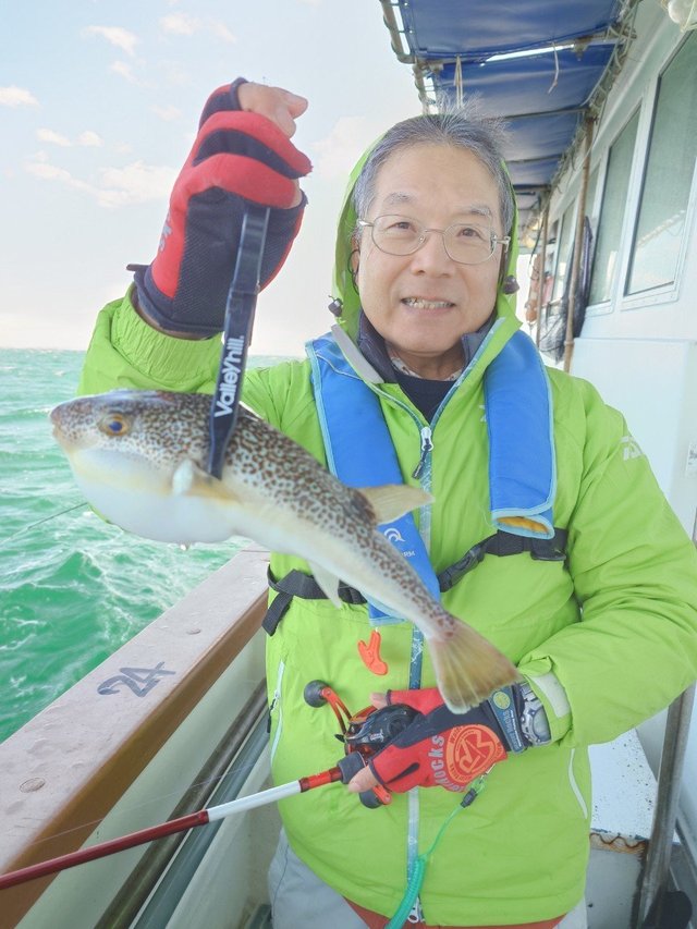 フグ(ショウサイフグ)