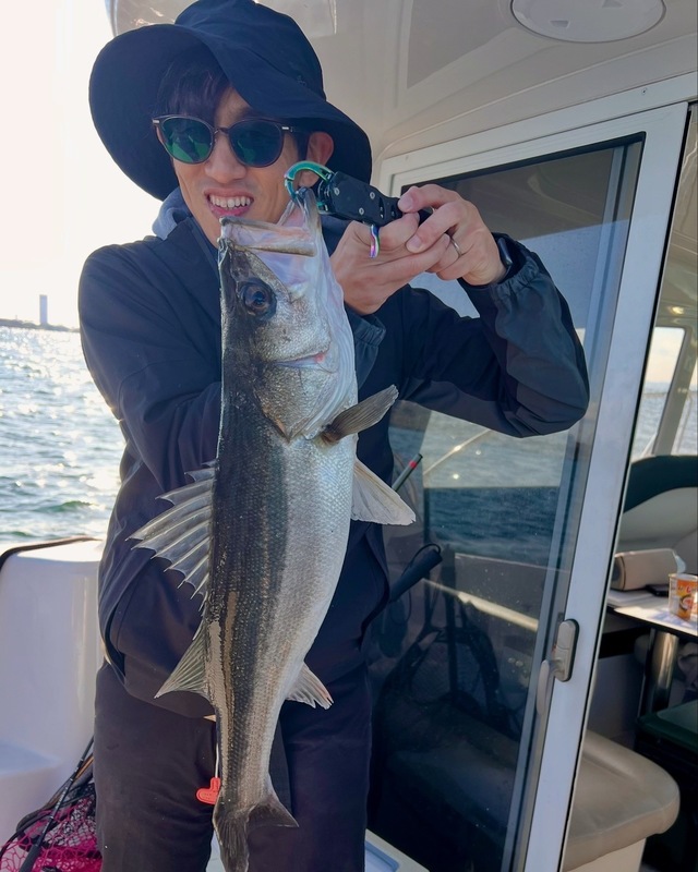 シーバス(スズキ)