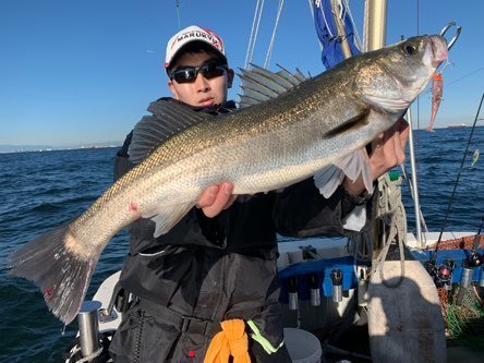 シーバス(スズキ)