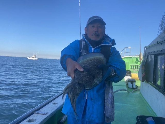 モンゴウ(カミナリイカ)