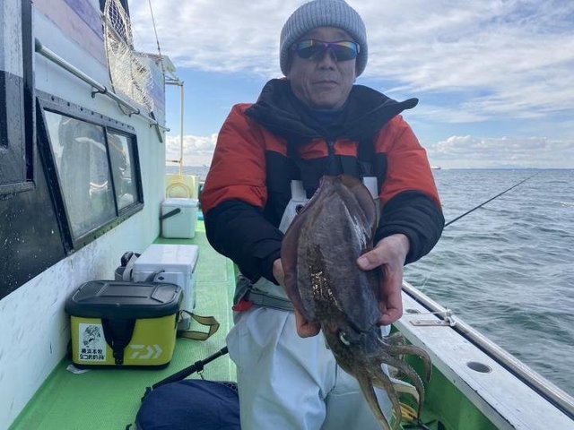 モンゴウ(カミナリイカ)