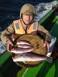 アマダイ(アカアマダイ)