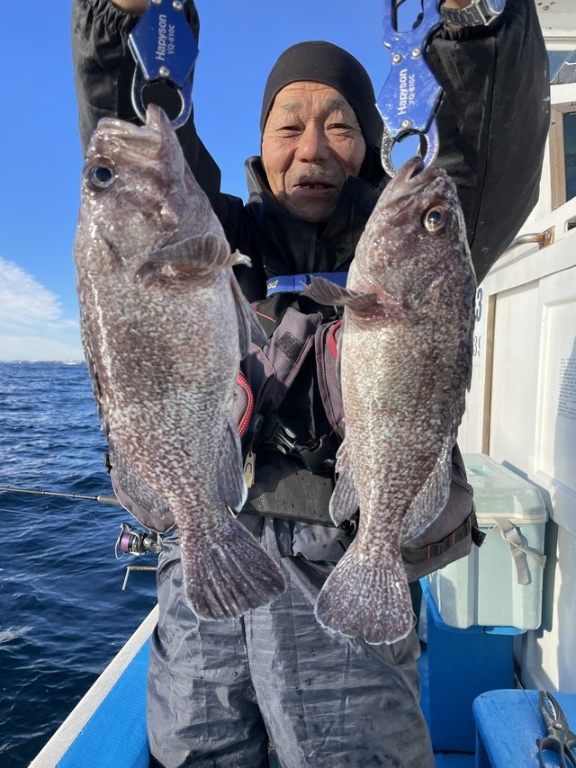 マゾイ(キツネメバル)