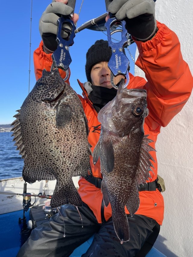 イシガキダイ・マゾイ(キツネメバル)