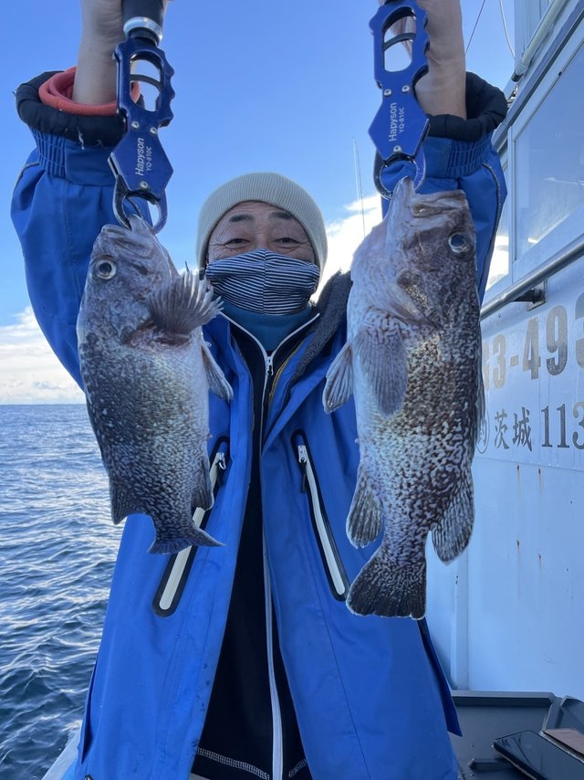 マゾイ(キツネメバル)