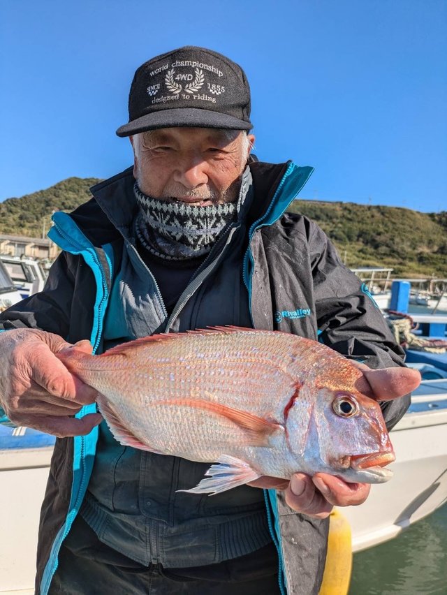 ハナダイ(チダイ)