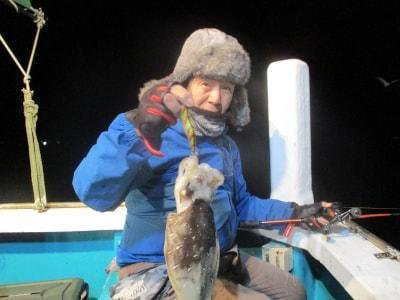 モンゴウイカ(カミナリイカ)