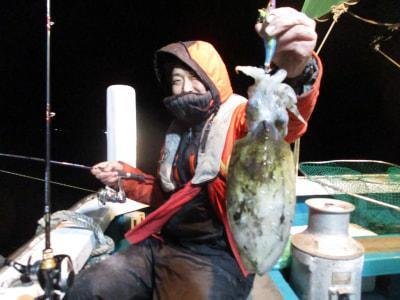 モンゴウイカ(カミナリイカ)