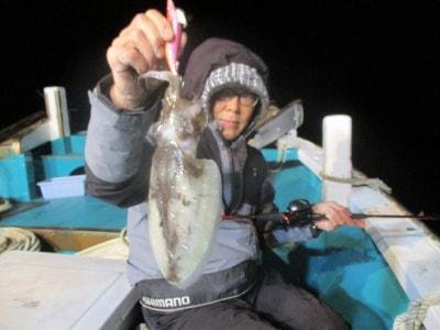 モンゴウイカ(カミナリイカ)