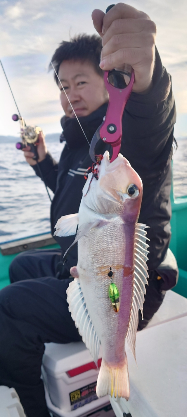 アマダイ(アカアマダイ)