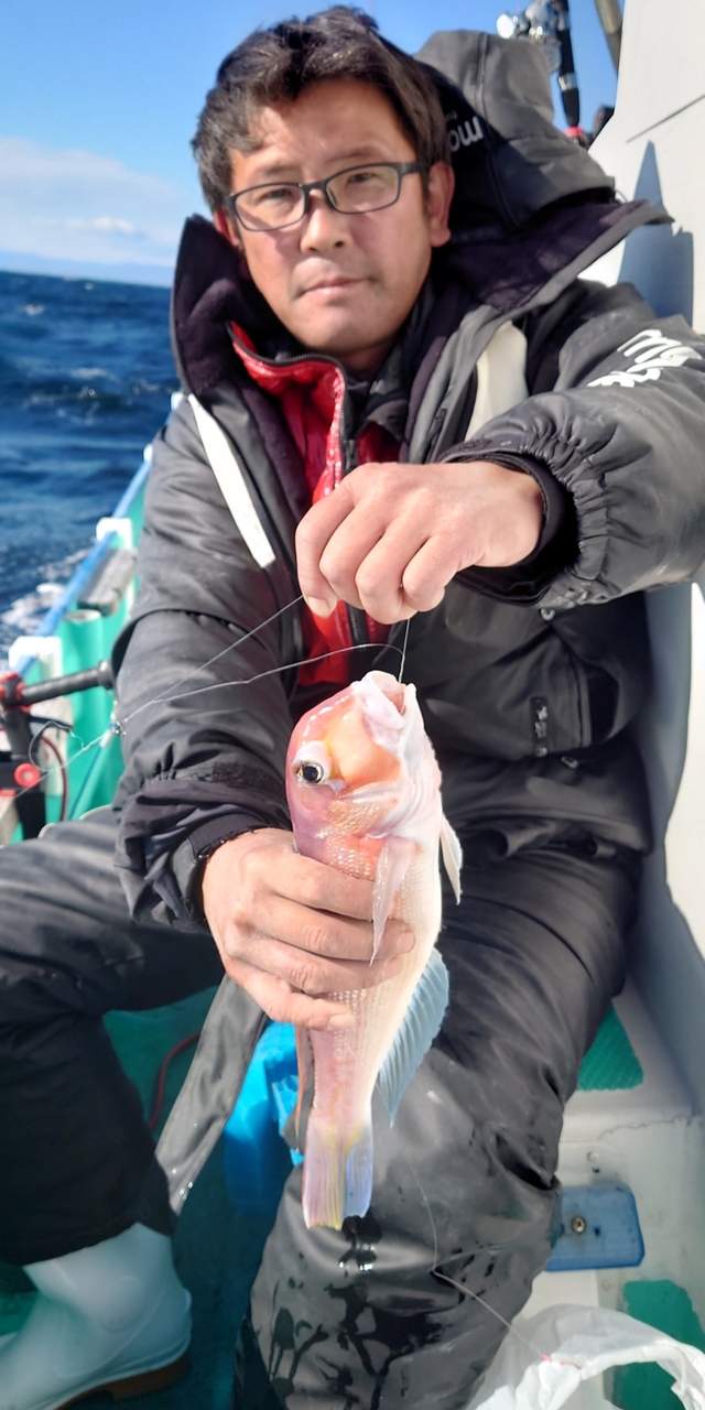 アマダイ(アカアマダイ)