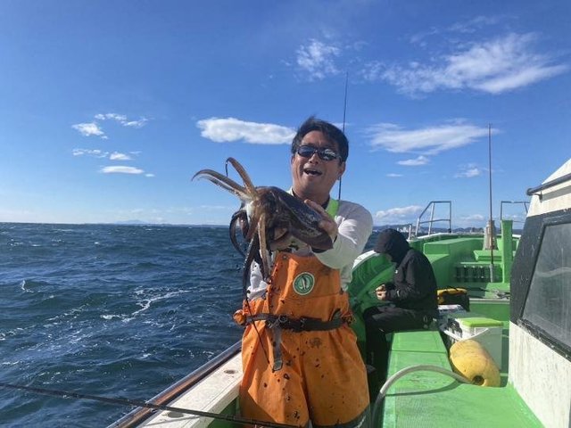 モンゴウ(カミナリイカ)