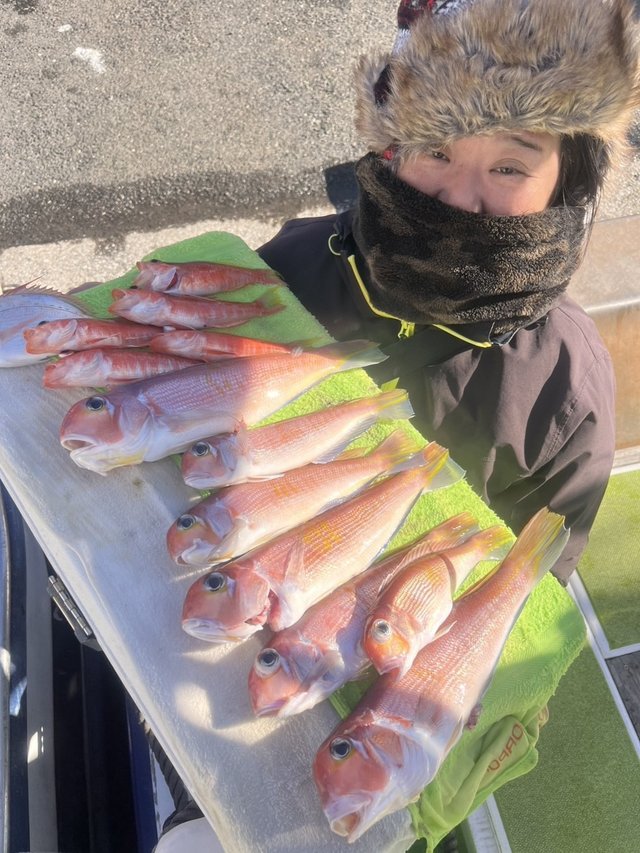 アマダイ(アカアマダイ)・ヒメコダイ