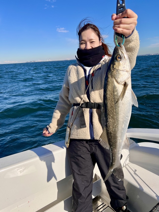 シーバス(スズキ)