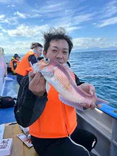 アマダイ(アカアマダイ)