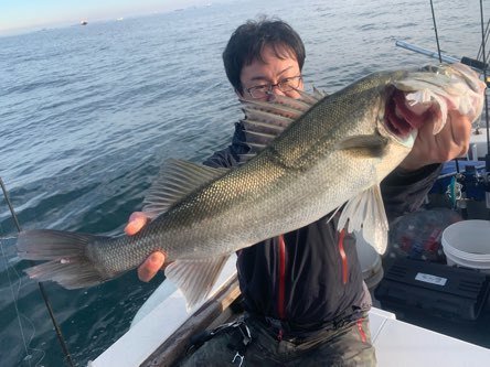 シーバス(スズキ)