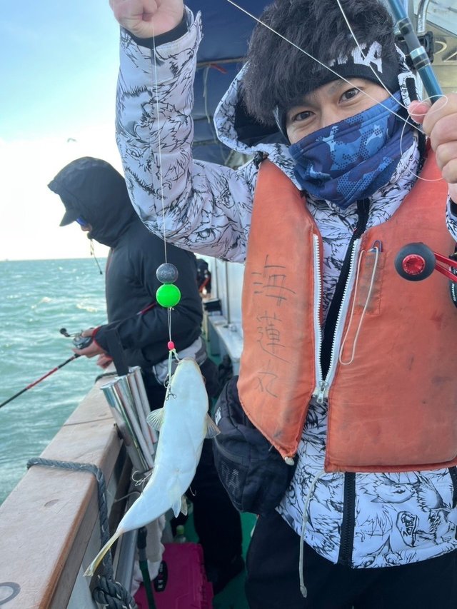 フグ(ショウサイフグ)