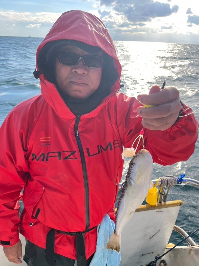 フグ(ショウサイフグ)