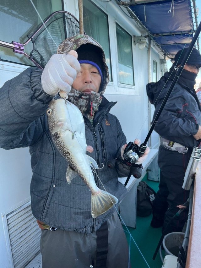 フグ(ショウサイフグ)