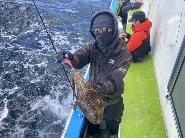 アオリ(アオリイカ)