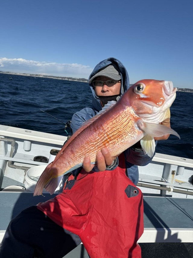 アマダイ(アカアマダイ)