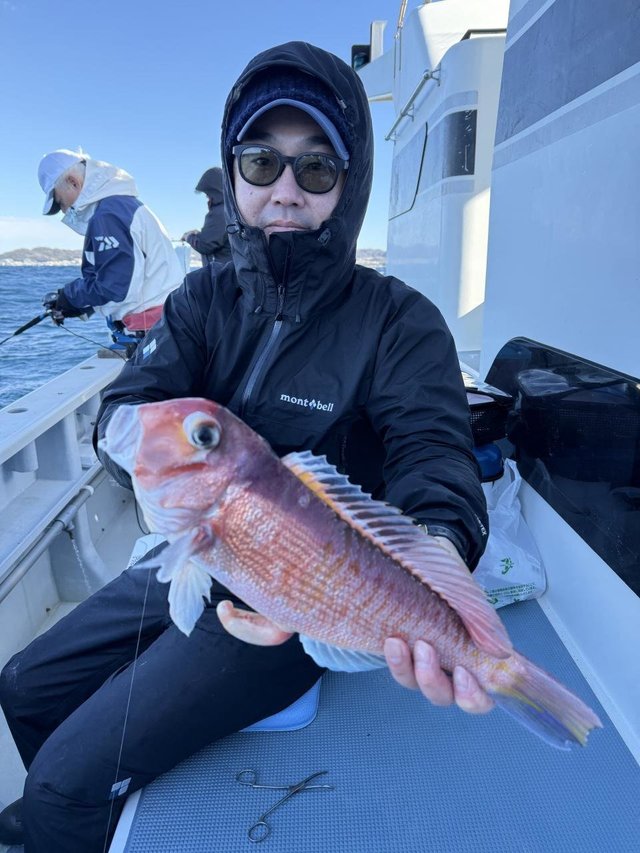 アマダイ(アカアマダイ)