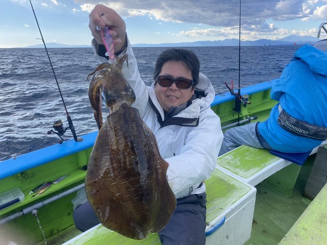 アオリ(アオリイカ)