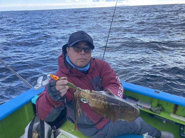 アオリ(アオリイカ)