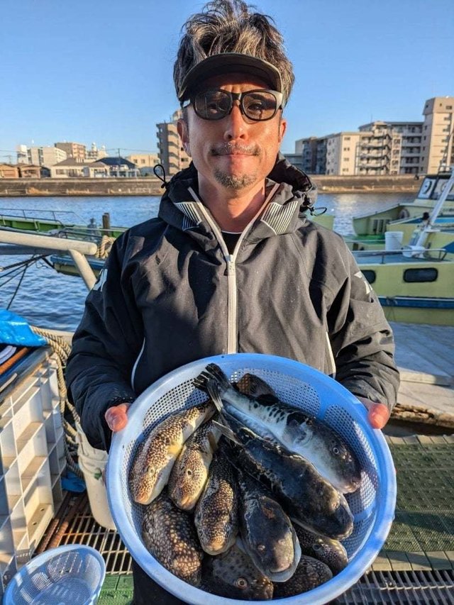 トラフグ・アカメフグ・ショウサイフグ