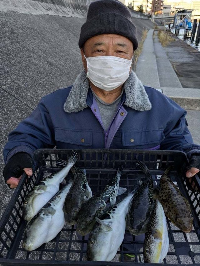 トラフグ・アカメフグ・ショウサイフグ
