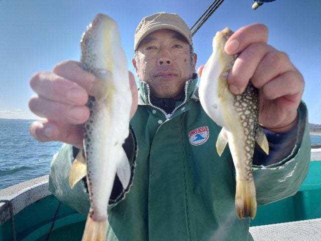 ショウサイフグ