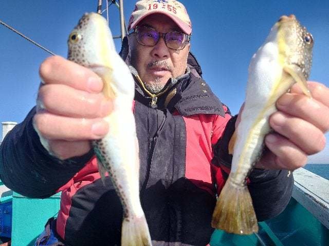 ショウサイフグ