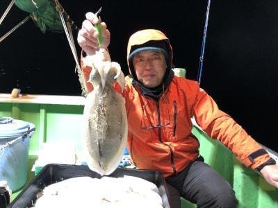 モンゴウイカ(カミナリイカ)