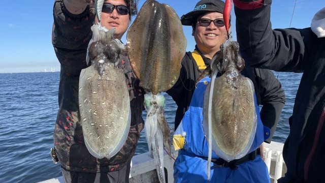 モンゴウイカ(カミナリイカ)