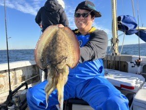 モンゴウイカ(カミナリイカ)