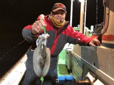 モンゴウイカ(カミナリイカ)