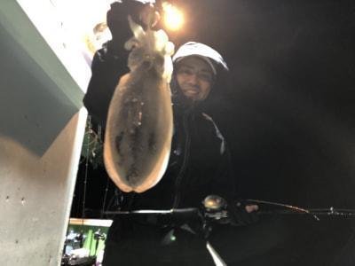 モンゴウイカ(カミナリイカ)