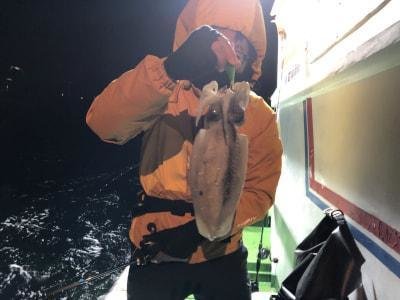 モンゴウイカ(カミナリイカ)