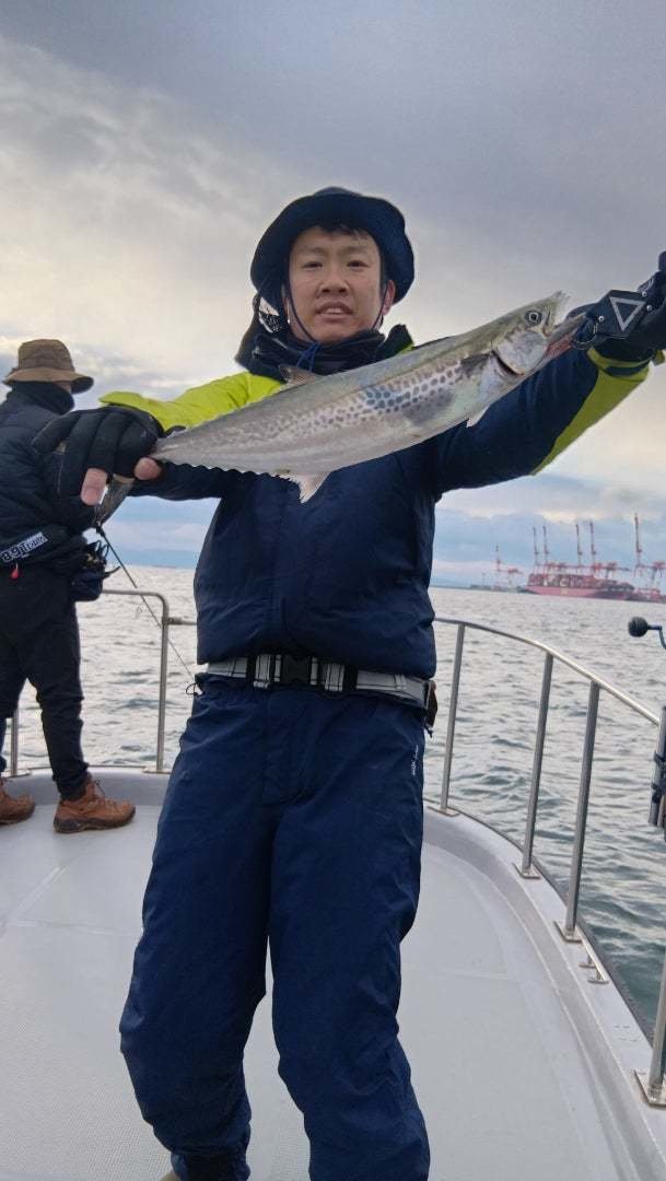 サゴシ(サワラ)