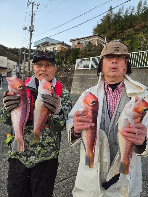 アマダイ(アカアマダイ)